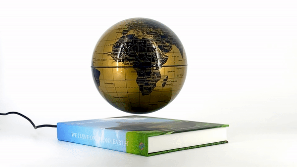 One Earth Book and Globe
