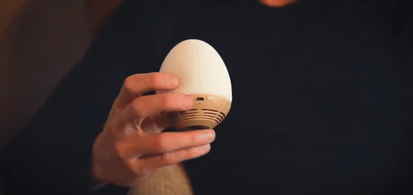 Egg Drop Speaker